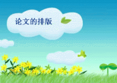 ���ĸ�ʽ���Ű�˵��